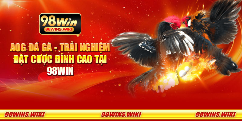 AOG đá gà - Trải nghiệm đặt cược đỉnh cao tại 98Win