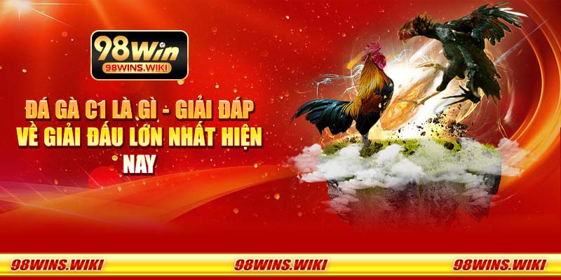 Đá gà C1 là gì - Giải đáp về giải đấu lớn nhất hiện nay